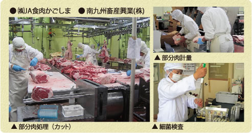 食肉加工の様子（部分肉処理（カット）/部分肉計量/細菌検査）